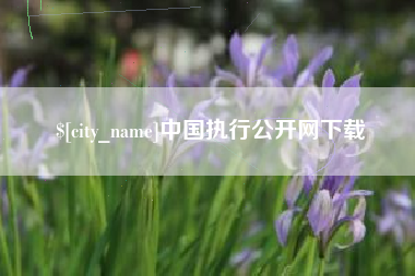 威海中国执行公开网下载
