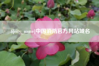 威海中国消防官方网站域名