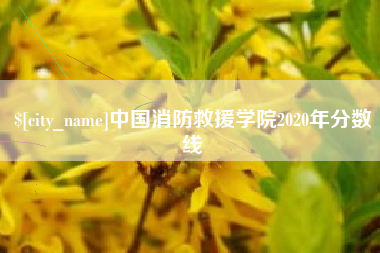 威海中国消防救援学院2020年分数线