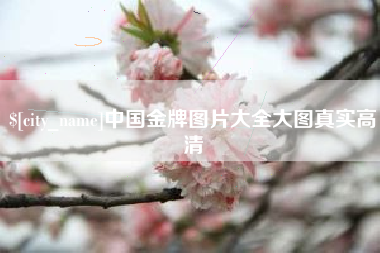 威海中国金牌图片大全大图真实高清