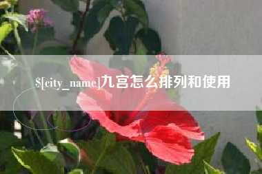 威海九宫怎么排列和使用