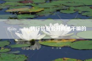 威海执行信息公开网是干嘛的