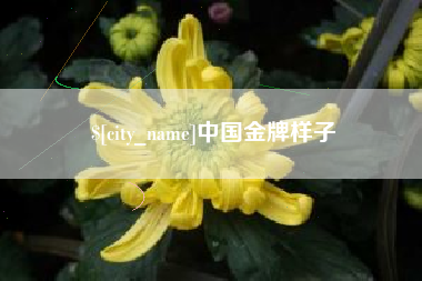 威海中国金牌样子