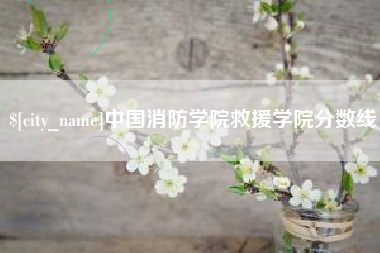 威海中国消防学院救援学院分数线