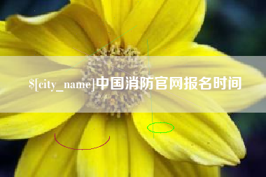 威海中国消防官网报名时间