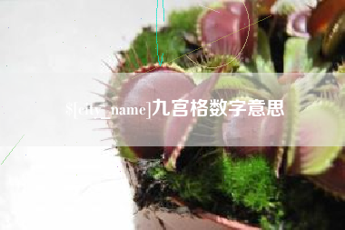 威海九宫格数字意思