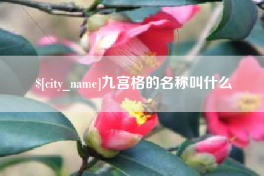 威海九宫格的名称叫什么