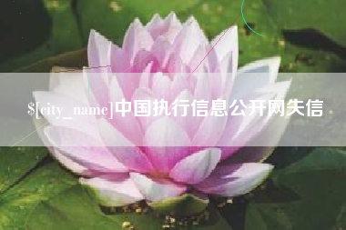 威海中国执行信息公开网失信