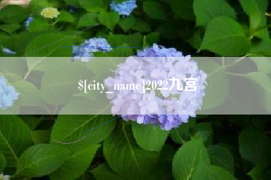 威海2022九宫