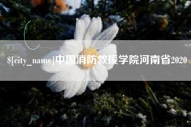 威海中国消防救援学院河南省2020